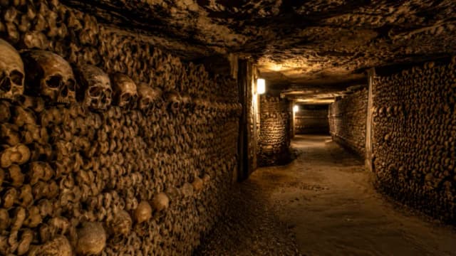 Paris Catacombs Visitor Guide 2026: Tickets, Entrance & Tips